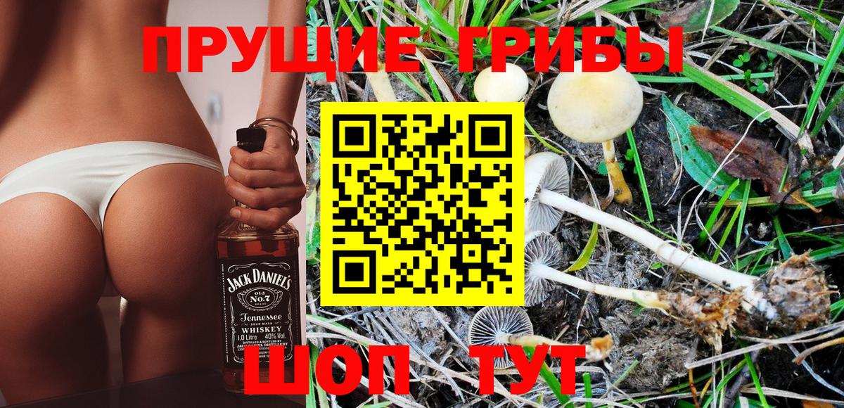 Кореновск  Галлюциногенные грибы Magic Shrooms  Вход с VPN 