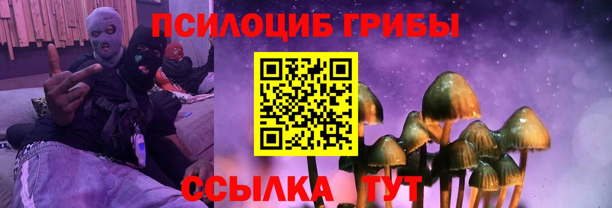 Галлюциногенные грибы Magic Shrooms Кореновск